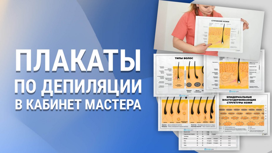 Плакаты по депиляции в кабинет мастера — Скачать бесплатно