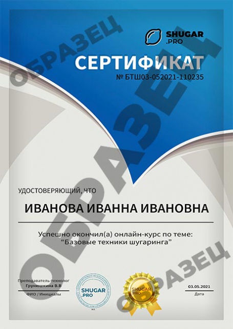  - образец сертификата на русском